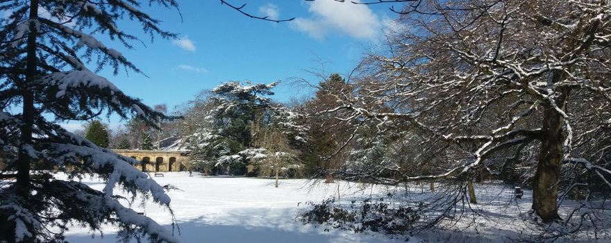 Stewart Park