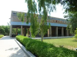 Mohenjo Daro