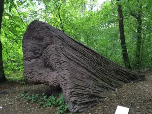 Laune Family Park