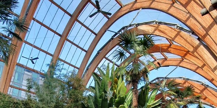 Winter Garden