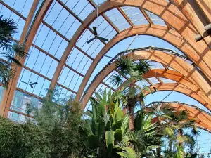 Winter Garden