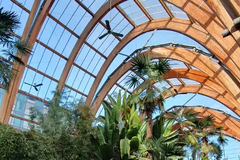 Winter Garden