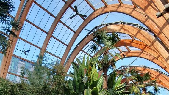 Winter Garden