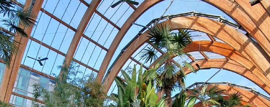 Winter Garden