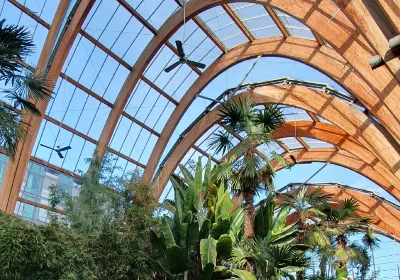Winter Garden