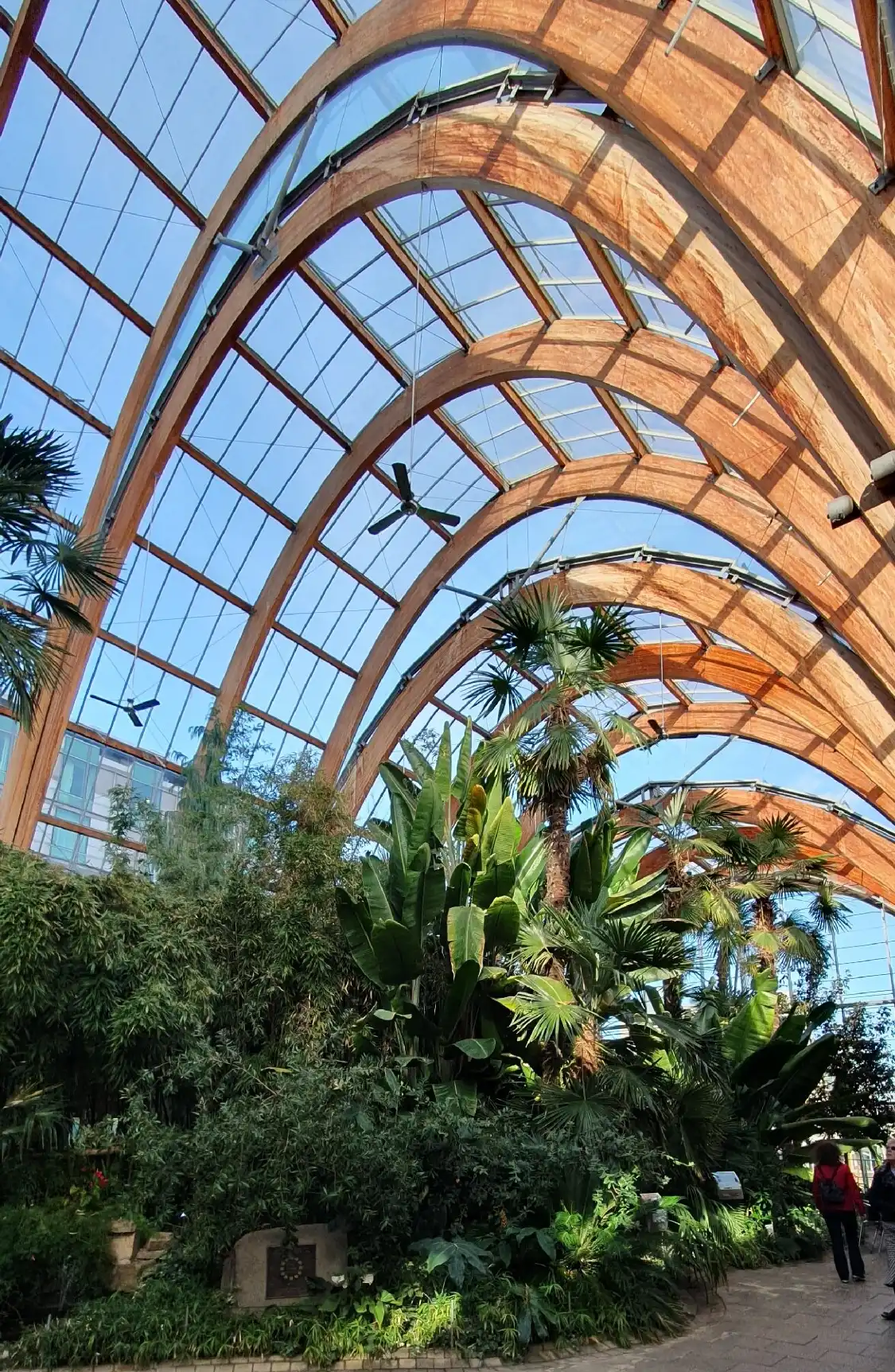 Hotels near Winter Garden