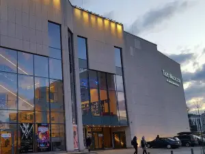 Musical Theatre of D. Baduszkowa