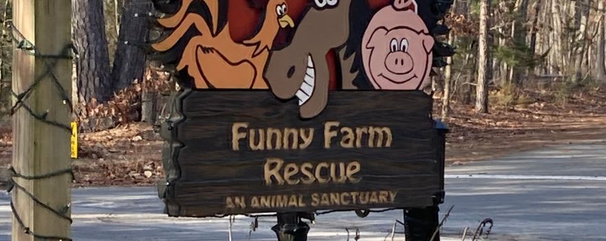 Funny Farm Rescue & Sanctuary