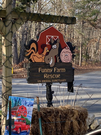 Funny Farm Rescue & Sanctuary