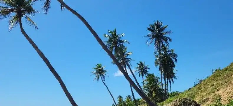 Hotels in Icarai