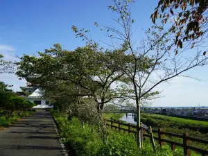 Shiroyama Park (Wakuya Castle Ruins)