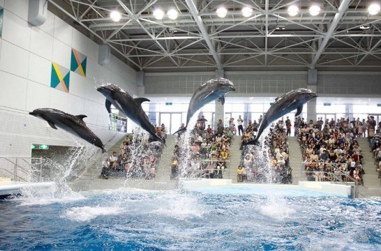 海援隊トーク&ライブ2026 in 奄美　チケット 海援隊 南海日日新聞創刊80周年記念 海援隊トーク&ライブ 2026 in 奄美