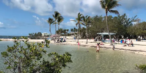 Harry Harris Park