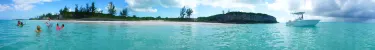 Bahamas Ocean Safaris