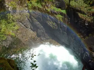 Little Qualicum Falls Provincial Park