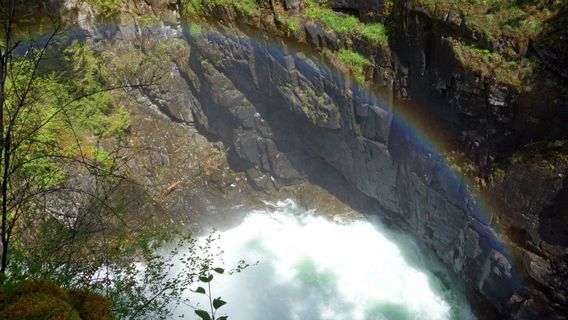 Little Qualicum Falls Provincial Park