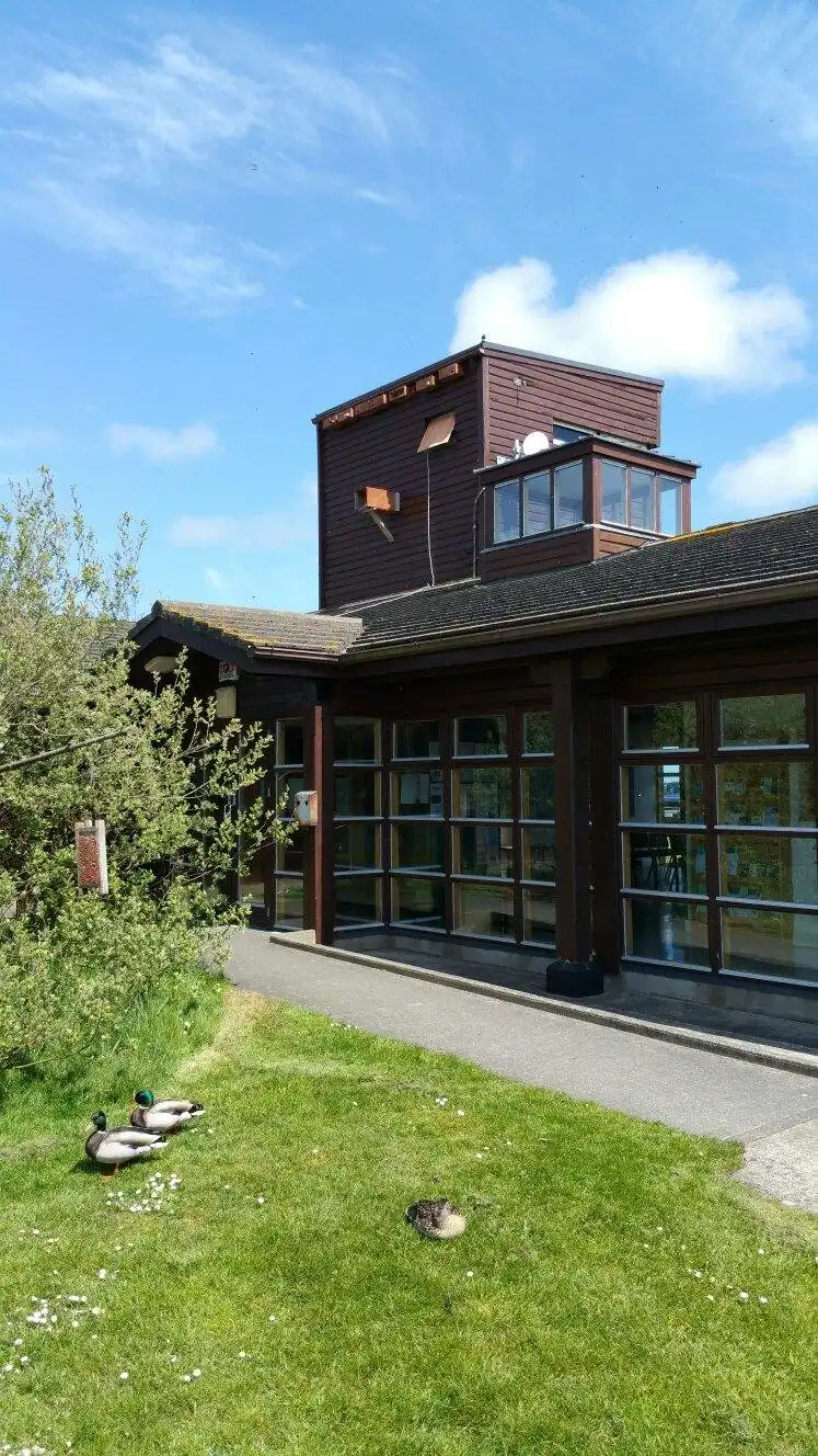 Hotels near Wexford Wildfowl Reserve