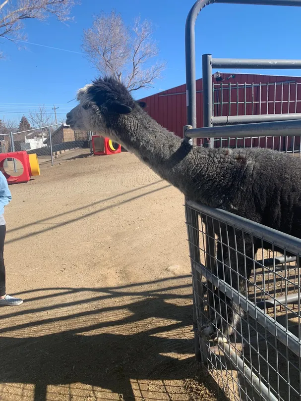 Sierra Nevada Zoological Park Tickets 2025 Promos Prices Reviews 0HJ2u12000h9xpmof3439 W 1440 810 Q80.webp