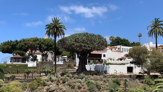 Drago Park