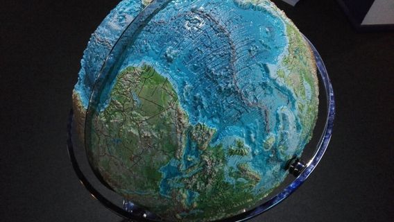 Zoological Museum of Kiel University