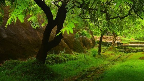 Ranmasu Uyana (Royal Park)