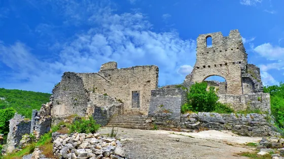Dvigrad ruins