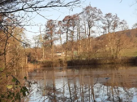 RSPB Burton Mere Wetlands