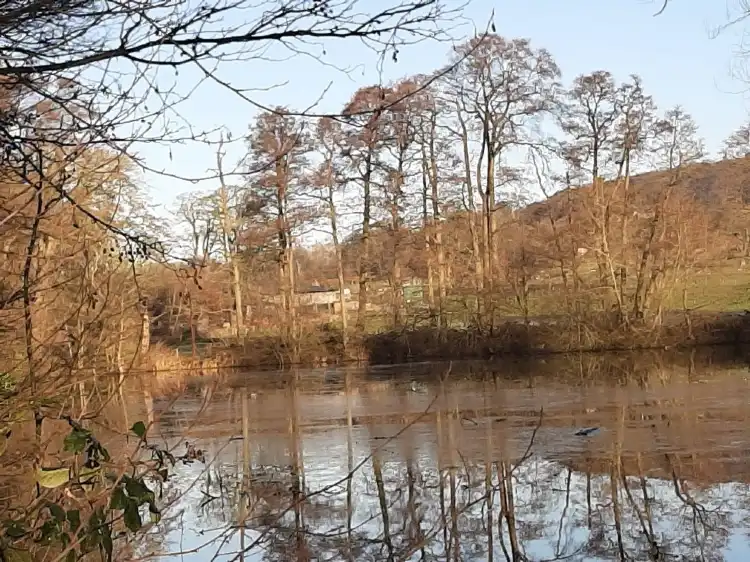 Hotels near RSPB Burton Mere Wetlands
