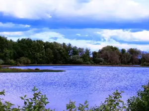 Fernhill Wetlands