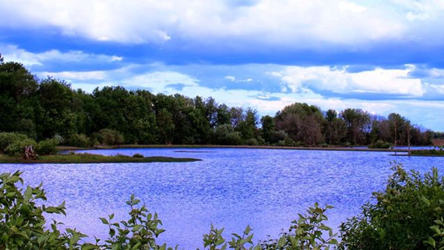 Fernhill Wetlands