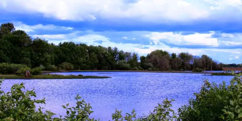 Fernhill Wetlands