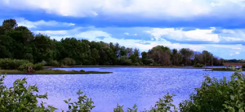 Hotels in Forest Grove