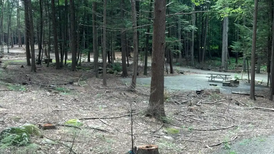 4_Fort Dummer State Park