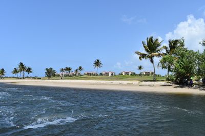 La Paseadora del Río Espíritu Santo