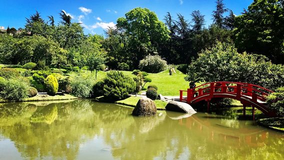 Jardin Japonais Pierre Baudis
