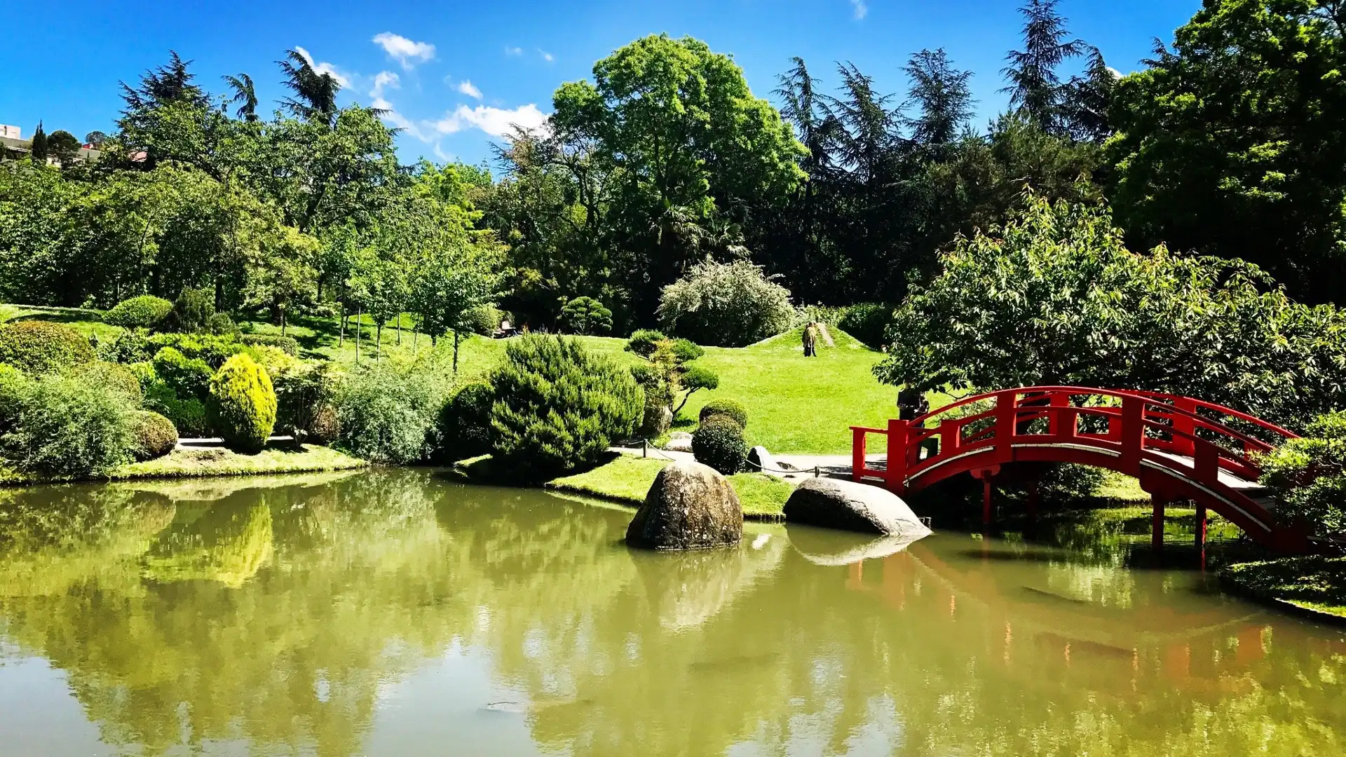 Hotels near Jardin Japonais Pierre Baudis