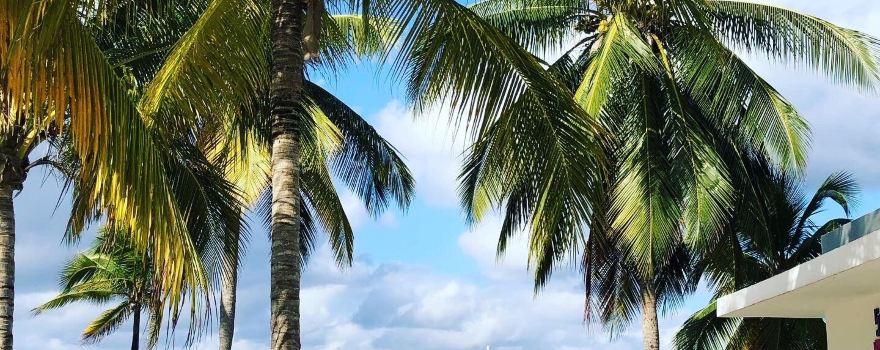 ScubaCaribe - Diving & Water Sports