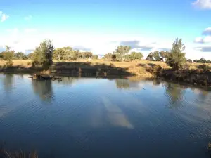 Narrabri Fish Farm