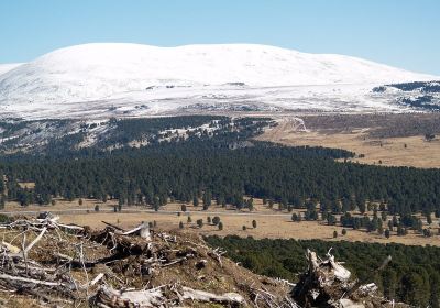 Shebalinsky District