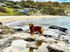 Tresaith