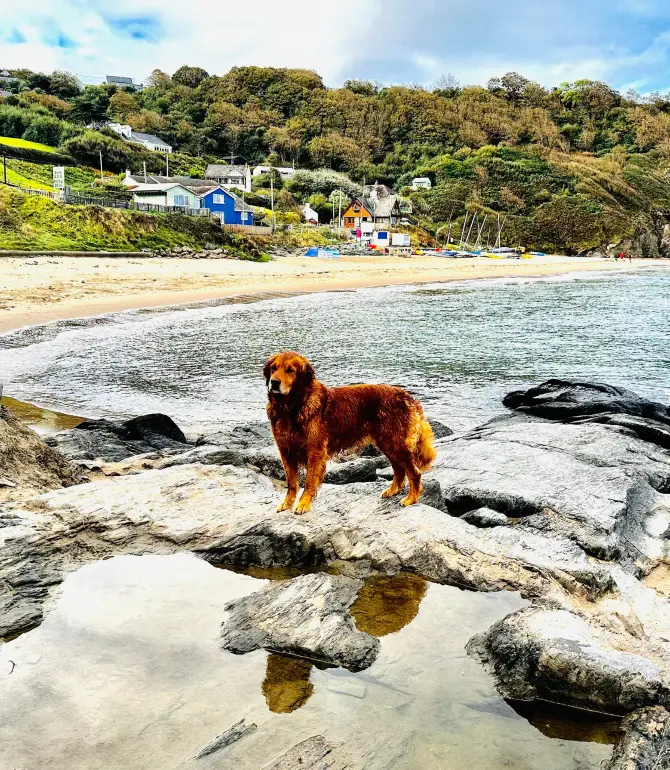 Penbryn