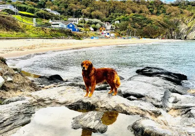 Penbryn