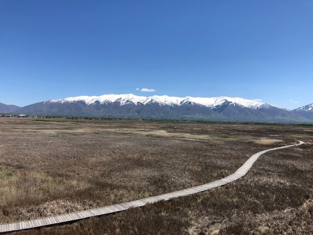 Great Salt Lake Shorelands Preserve