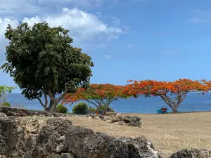 Fort James