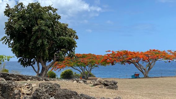 Tobago