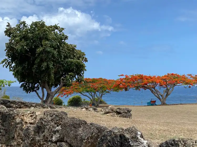 Hotels near Fort James