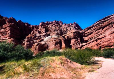 Cafayate Department