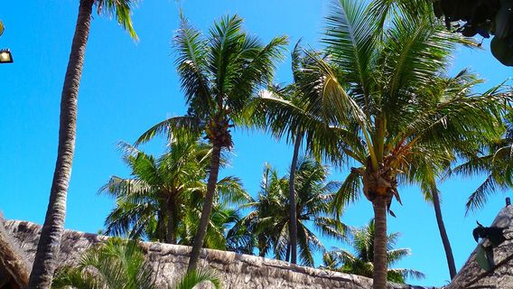 Noumea