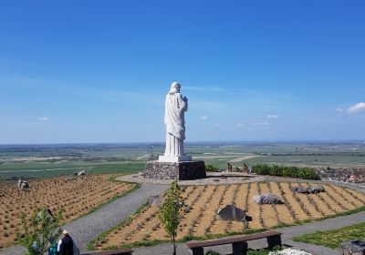 Тарцаль