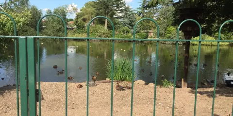 Fishpond Lane Nature Reserve